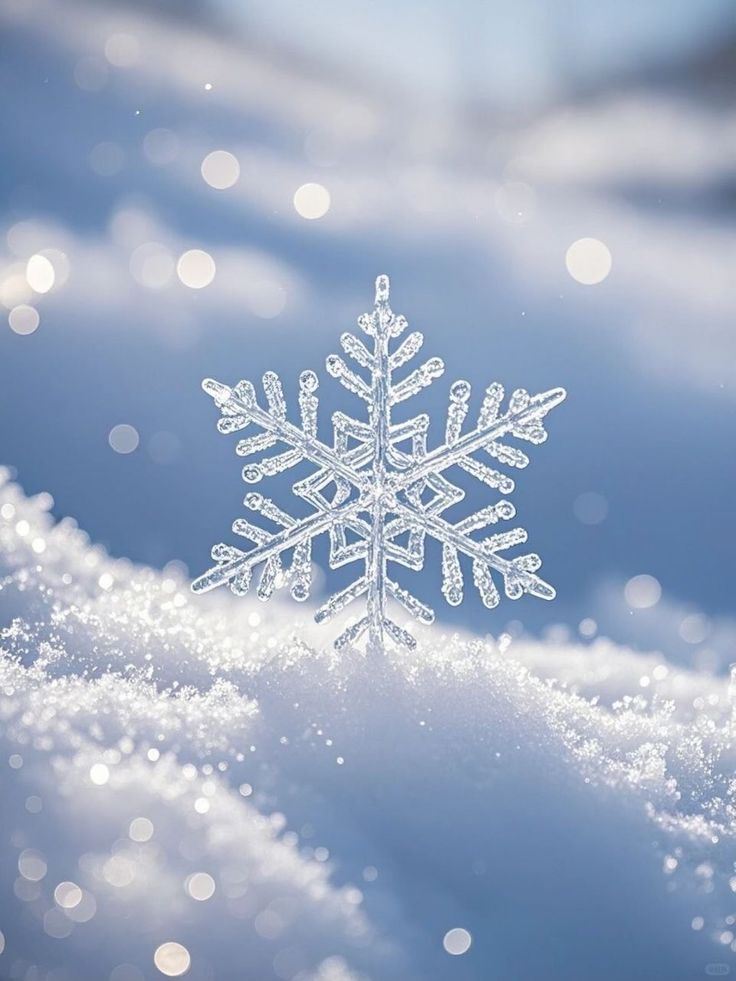 Renk Terapisi / Professional - Profesyonel Seviye